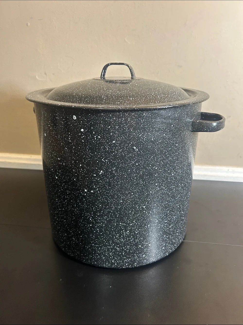 Black Speckled Stockpot with Lid - Heavy-Duty Cooking Pot Large.